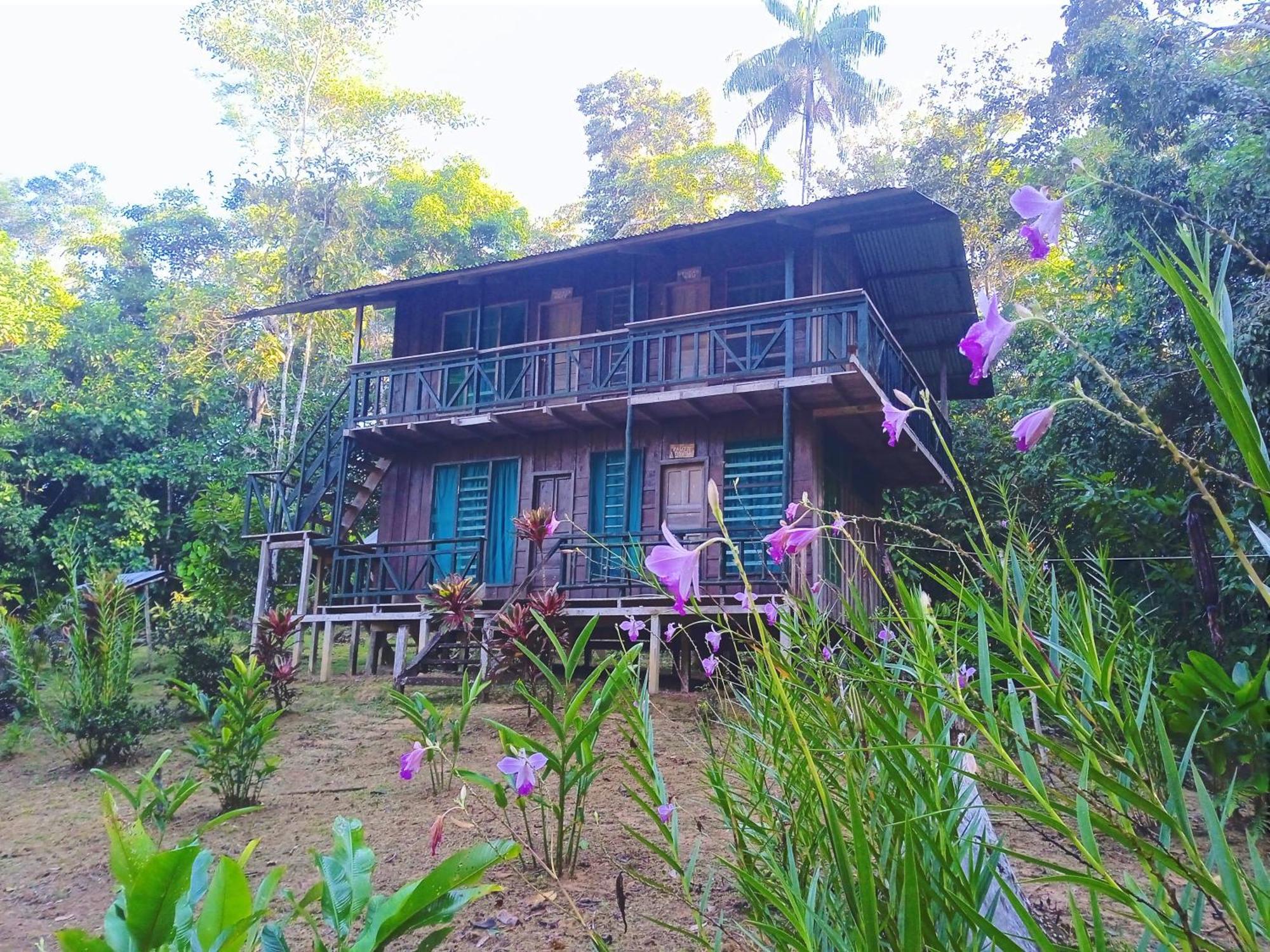 Cabanas Eco Logicas Mu'Ue Loreto Mocagua Kültér fotó