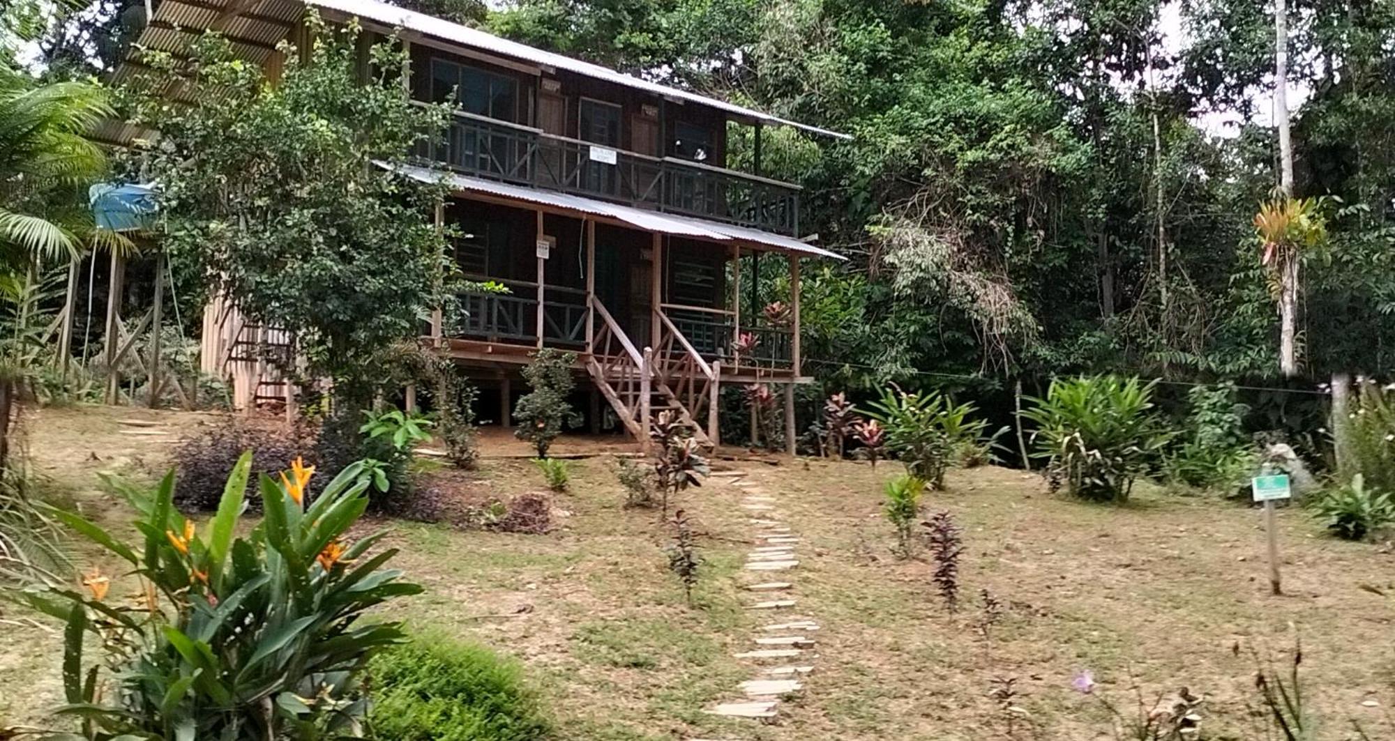 Cabanas Eco Logicas Mu'Ue Loreto Mocagua Kültér fotó