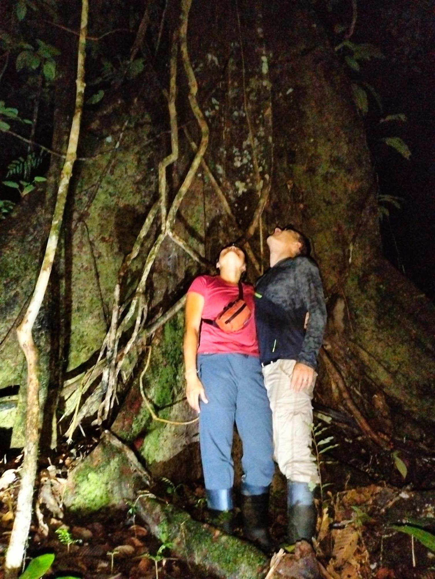 Cabanas Eco Logicas Mu'Ue Loreto Mocagua Kültér fotó
